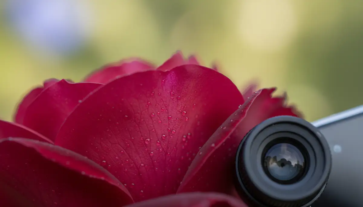 A close-up shot of an Android phone with a macro lens attachment, capturing intricate details of a flower petal, with a shallow depth of field., high-quality photography, professional lighting, sharp focus, realistic, detailed